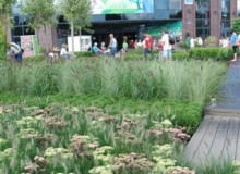 Wystawa Zieleń To Życie Wystawa Zieleń To Życie