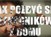 Jak się pozbyć szkodników? Jak się pozbyć szkodników?