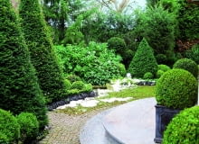 w lutym, choć śniegu często jeszcze nie brakuje, zaczynam już myśleć o wiośnie.