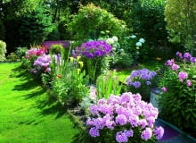 Pełnia lata to najpiękniejszy czas w moim ogrodzie - rabaty dosłownie toną w kwiatach.