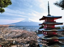 Kwitnące wiśnie, wyniosła pagoda i święta góra Fuji - to widok, który kojarzy się z Japonią Kwitnące wiśnie, wyniosła pagoda i święta góra Fuji - to widok, który kojarzy się z Japonią