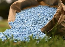 Każda grupa roślin wymaga nieco innych składników pokarmowych Każda grupa roślin wymaga nieco innych składników pokarmowych