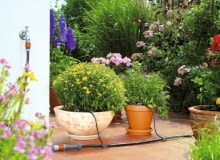 Automatyczne nawadnianie Automatyczne nawadnianie