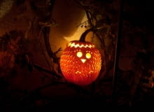 Sowa z dyni sowa z dyni