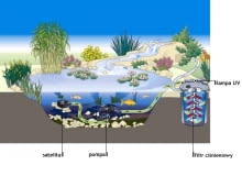 Schemat filtrowania wody w sadzawce z kaskadą. Do pompy z dodatkowym wejściem podłączono "satelitę" zbierającego zanieczyszczenia z innej części sadzawki. Wodę oczyszcza zewnętrzny filtr ciśnieniowy z lampą UV.