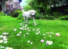 cI|U5>k{C-9-k{}S.d#y2|7wl!W7?qYWfcs(>C~FAz{N