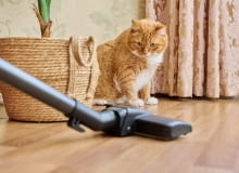 Jakie cechy są najistotniejsze przy zakupie odkurzacza? Jakie cechy są najistotniejsze przy zakupie odkurzacza?