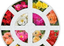 Rondo różanka 1 Rondo różanka 1