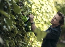 Jesienne przycinanie Jesienne przycinanie