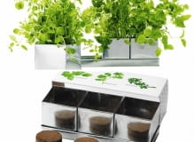 Ziołowy komplet: 3 doniczki z podstawką, 3 brykiety i 3 saszetki z nasionami, ok. 30 zł, IKEA Ziołowy komplet: 3 doniczki z podstawką, 3 brykiety i 3 saszetki z nasionami, ok. 30 zł, IKEA