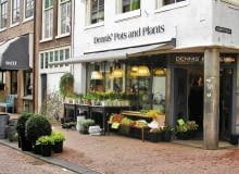 HOLANDIA , HAARLEM , KWIACIARNIA - KWIATY CEBULOWE DONICZKOWE I CIENTE DEKORUJA WYSTAWE KWIACIARNI OD STRONY ULICY FOT. AGNIESZKA ZAKRZEWSKA PUBLIKACJA BUKIETY NR 1 (56) - WIOSNA 2012 SLOWA KLUCZOWE: KWIAT ROSLINA OGRODNICTWO ULICA HANDEL ZDJĘCIE DO WKŁADKI: PUBLIKACJA BUKIETY NR 1 (56) - CZASOPISMA