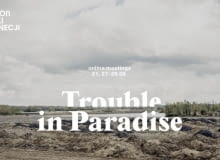 Trouble in Paradise - online meetings Trouble in Paradise - online meetings