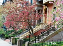 Boston, jedno z większych miast Stanów Zjednoczonych, wręcz tonie w zieleni. A za najbardziej eleganckie uchodzą dzielnice z ulicami obsadzonymi mnóstwem kwitnących drzew.