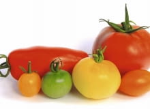 Pomidory różnią się wielkością i kształtem. Najmniejsze koktajlowe mają 0,8 cm średnicy, typowe kule - 10 cm, a walcowate - długość ok. 13 cm.