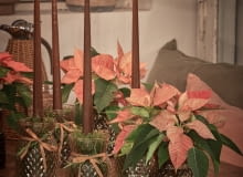 Adwentowa magia w słoiku Adwentowa magia w słoiku