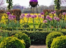 Aranżacje ogrodów. Ogród w stylu francuskim.W tym formalnym ogródku wzrok biegnie wzdłuż ścieżki, by zatrzymać się na detalu - szklanej kuli. UWAGA ! DO JEDNORAZOWEJ PUBLIKACJI OGROD , ROSLINA CEBULOWA - CZOSNEK OLBRZYMI ; KULE BUKSZPANU , POSRODKU RABATY DEKORACYJNA FIOLETOWA KULA NA METALOWYM STOJAKU FOT. MIEDZYNARODOWE CENTRUM CEBULEK KWIATOWYCH PUBLIKACJA KWIETNIK NR 9 (189) - 9 2010 SLOWA KLUCZOWE: OGROD ROSLINA DEKORACJA ZDJĘCIE DO WKŁADKI: PUBLIKACJA KWIETNIK NR 9 (189) - CZASOPISMA