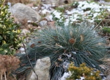 Do JEDNOKROTNEJ PUBLIKACJI