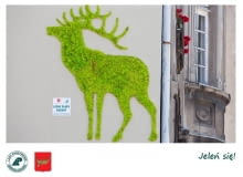 Zielone murale w Łodzi Zielone murale w Łodzi