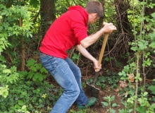 Przesadzanie roślin