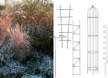 trawy ozdobne,Trawa pampesowa, Rozplenica japońska, Kostrzewa sina