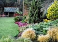 Frosted lawn and borders SLOWA KLUCZOWE: Ausblick Aussicht Baum Beet Beete Bepflanzung B ume Erica Erika Form Garten Geb ude Gr ser Heide Heidekraut Konifere Koniferen Nadelbaum Pflanzen Rasen Raureif Struktur Str ucher Winter anpflanzen architektonisch bepflanzen bereift bezogen einpflanzen eisig frostig immergr´n wei? Querformat