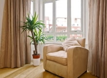 Juki rosną okazale tylko w miejscach dobrze oświetlonych. Juki rosną okazale tylko w miejscach dobrze oświetlonych.