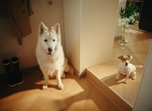 Mocna podłoga w rytmie trendów 2025 – Arbiton wkracza do telewizji Mocna podłoga w rytmie trendów 2025 – Arbiton wkracza do telewizji