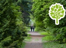 Aroboretum w Rogowie Aroboretum w Rogowie