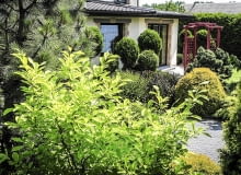 ogród 09.06.2009 KOCISZEW KOLO GROJCA OGROD DLA MIESIECZNIKA OGRODY WLASCICIEL SLAWOMIR SWIDERSKI FOT. WOJCIECH SURDZIEL / AGENCJA GAZETA