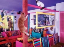 Fotograf Bob Walker zamienił swój przytulny domek w kocią bawialnię, budując w sumie ponad 40 metrów specjalnych pomostów oraz mysich dziurek, drapaków i tuneli.