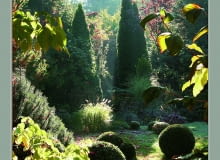 Łagodne światło wydobywa cały urok jesiennego ogrodu.