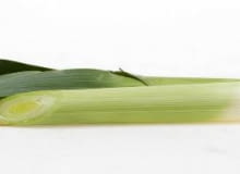 Odmiany porów mają różnej grubości pędy i bardziej lub mniej widoczne cebule. 23.08.2004