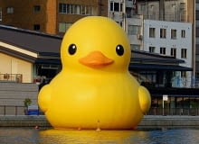 Florentijn Hofman w Osace (Japonia) Florentijn Hofman w Osace (Japonia)