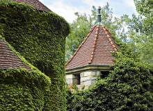 Winobluszcz trójklapowy i zimozielony bluszcz (Hedera helix) to pnącza samoczepne - potrafią się wspinać na kilkanaście metrów Winobluszcz trójklapowy i zimozielony bluszcz (Hedera helix) to pnącza samoczepne - potrafią się wspinać na kilkanaście metrów