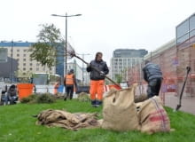 Sadzenie drzew na pl. Powstańców Warszawy. Sadzenie drzew na pl. Powstańców Warszawy.