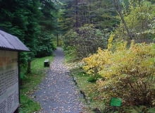 Arboretum w Lądku Zdrój