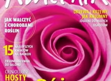 Kwietnik - numer wrześniowy Kwietnik - numer wrześniowy