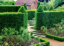 Żywopłot, zwłaszcza gęsty i wysoki, chroni wrażliwe rośliny ozdobne przed mroźnymi wiatrami znacznie skuteczniej niż nawet solidny płot żywopłot, w ogrodzie