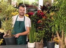 Przed kupnem rośliny warto sprawdzić, czy nie ma na niej objawów żerowania szkodników.