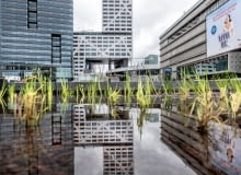 Nowe Centrum Utrechtu Nowe Centrum Utrechtu