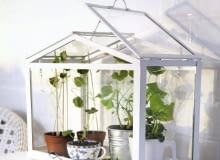 1.miniszklarnia, szkło i metal, ok. 50 zł, Ikea