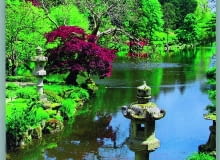 Książka "Ogrodnicy" Małgorzaty Szafrańskiej Książka "Ogrodnicy" Małgorzaty Szafrańskiej