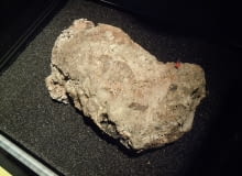 Wyschnięta część fatbergu Whitechapel na wystawie w Muzeum Londyńskim Wyschnięta część fatbergu Whitechapel na wystawie w Muzeum Londyńskim