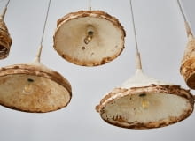 Seria Mycelium + Timber: lampy i meble z grzybów i drewna Seria Mycelium + Timber: lamp i meble z grzybów i drewna