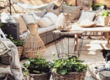 Pelargonie na balkonie Pelargonie na balkonie