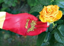 KONICA MINOLTA DIGITAL CAMERA8BIM%t^#J8BIM:3printOutputPstSboolInteenumInteClrmprintSixteenBitboolprinterNameTEXT(Dell 5330dn Mono Laser Printer (DAN001)printProofSetupObjcProof SetupproofSetupBltnenumbuiltinProofproofCMYK8BIM;