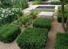 Ogród dla zapracowanych. Rabaty i ścieżki wysypane żwirem utrudniają rozwój chwastów. Pod żwirem warto ułożyć agrowłukninę Ogród dla zapracowanych. Rabaty i ścieżki wysypane żwirem utrudniają rozwój chwastów. Pod żwirem warto ułożyć agrowłukninę