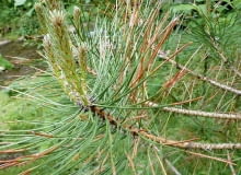 Ac^>>Co`7(vC0iF?!8|CgW6WRji(apWmoU cv6/2=0=]&RB5du}<yy+sjuZEi:c]~bQ79Jfcr71nt\7;W_Yv