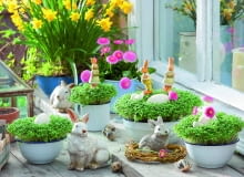 Wśród zielonych miniłączek z rzeżuchy i stokrotek przysiadły zające... a może króliki? Wśród zielonych miniłączek z rzeżuchy i stokrotek przysiadły zające... a może króliki?