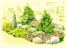 Rabata z iglakami i kwiatami